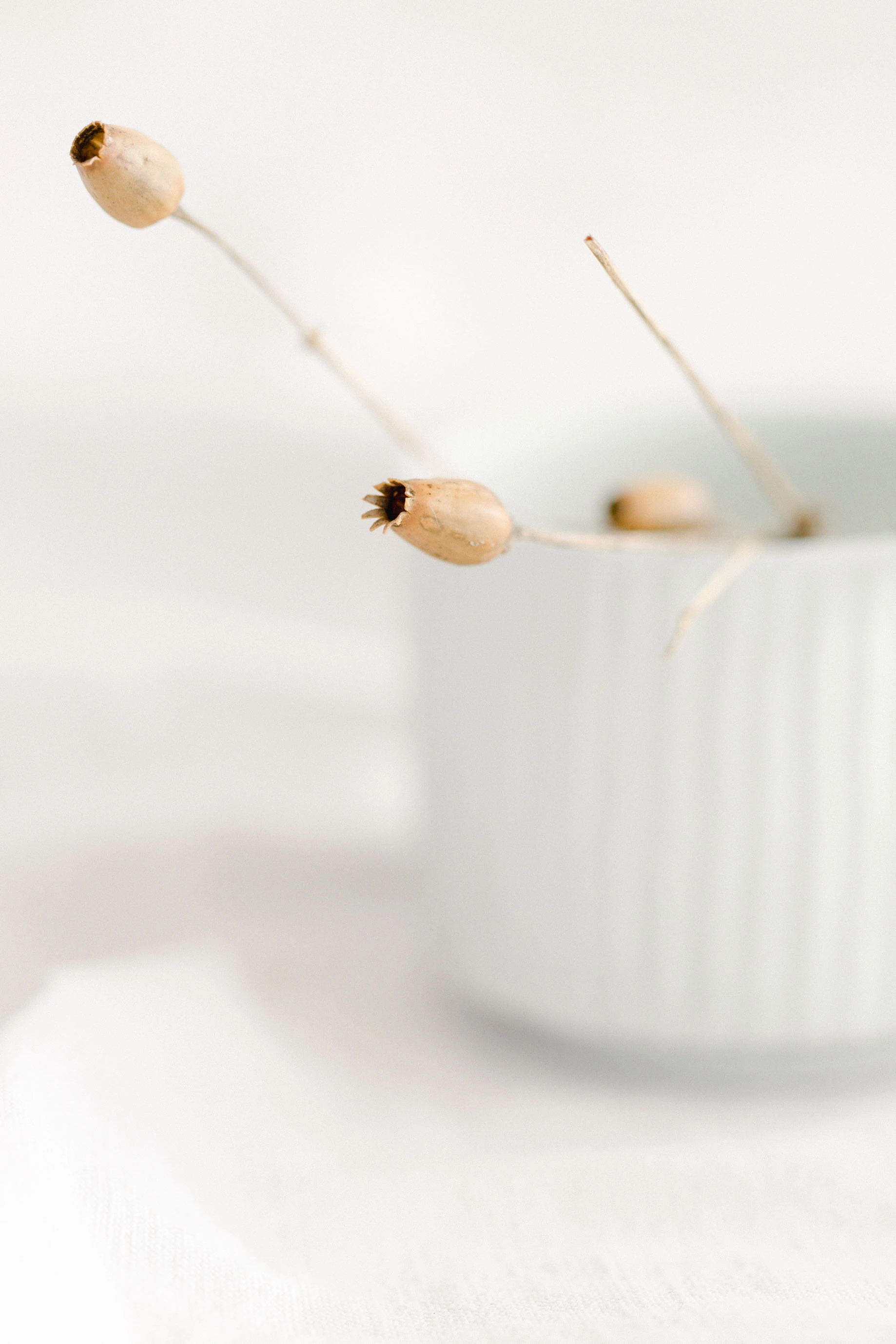 Poterie Hélène Bénéteau